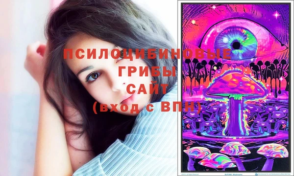 ешки Алзамай