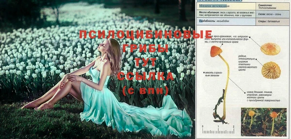 MESCALINE Алексеевка