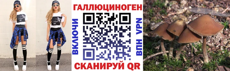 Галлюциногенные грибы ЛСД  Николаевск 